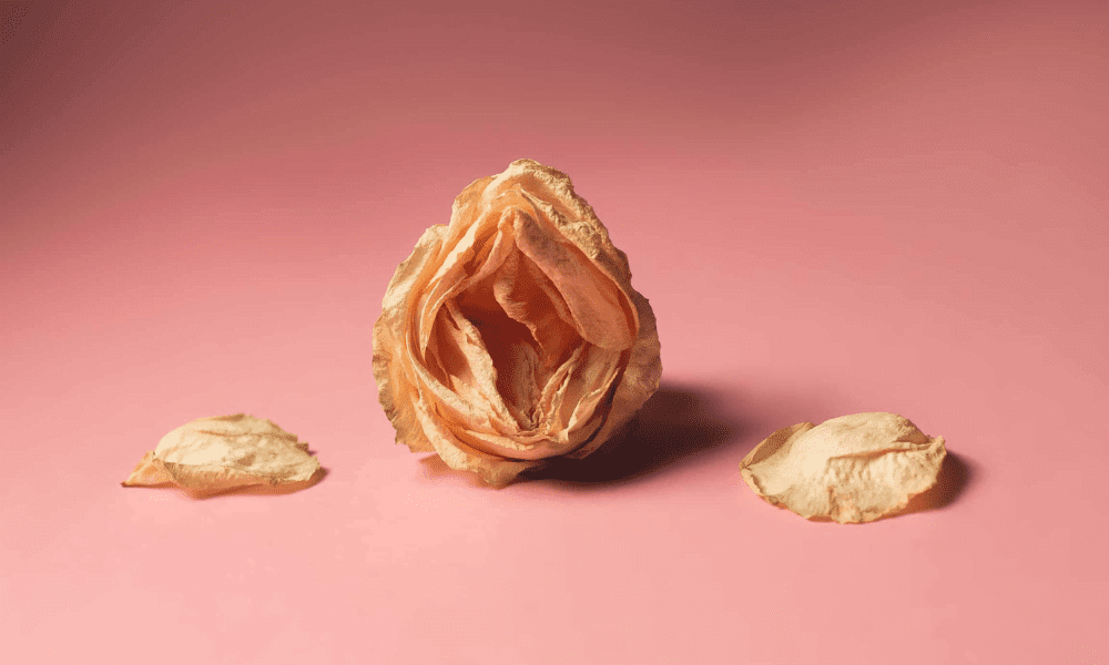 Vaginal Dryness: Causes, Symptoms and Treatments